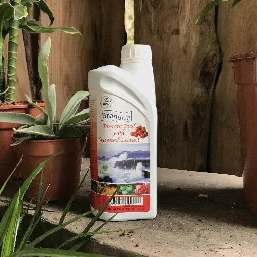 Brandon Tomato Food With Irish Seaweed Extract 1 Brandon Tomato Food With Irish Seaweed Extract