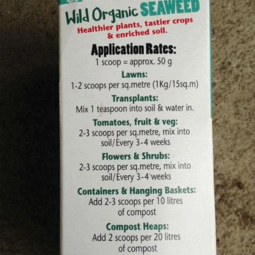 Ocean Leaves Seaweed 2 Ocean Leaves Seaweed - Image 2